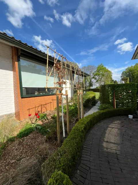 Gartenbereich mit Holzpergola, roten Blüten und gepflastertem Weg neben modernem Backsteinhaus unter blauem Himmel.