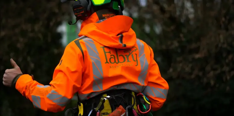 Arbeiter in orangefarbener Sicherheitsjacke mit Helm und Ausrüstung gibt Daumen hoch, Baumhintergrund.