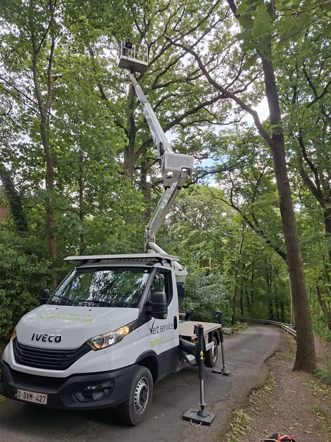 Weißer IVECO-Servicefahrzeug mit ausgefahrenem Hubsteiger in Waldgebiet, Arbeiter in Korb am Baum.